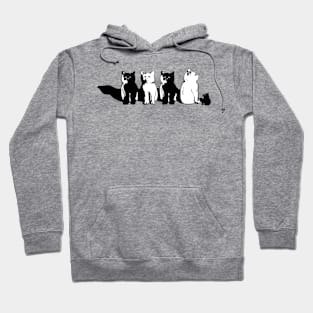 Quite cats Hoodie